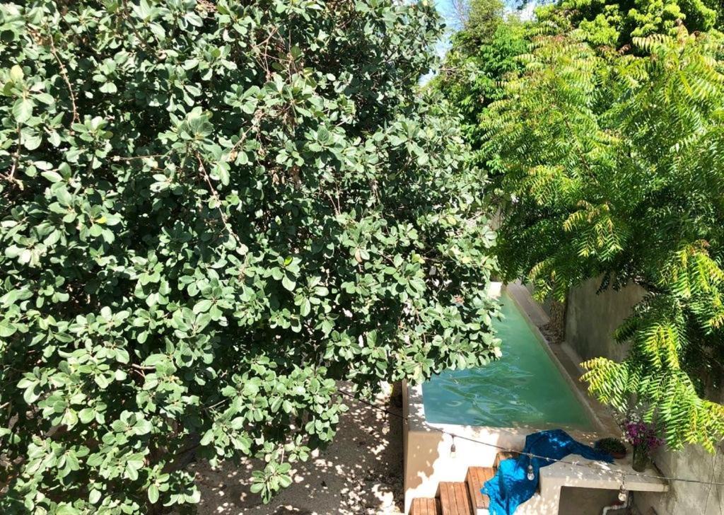 לינה וארוחת בוקר מרידה Casa "La 44" מראה חיצוני תמונה